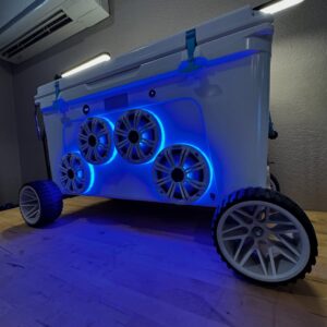 best custom cooler speaker systems