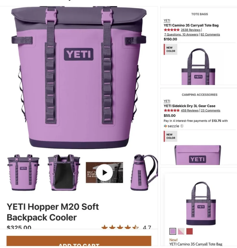 best coolers for camping