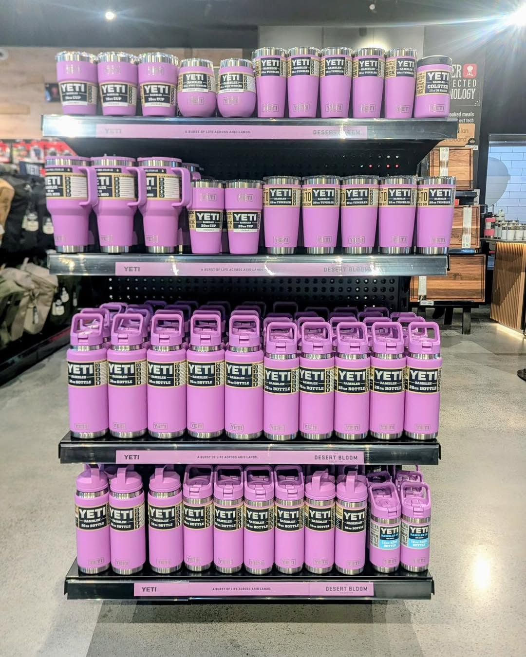 best coolers for road trips