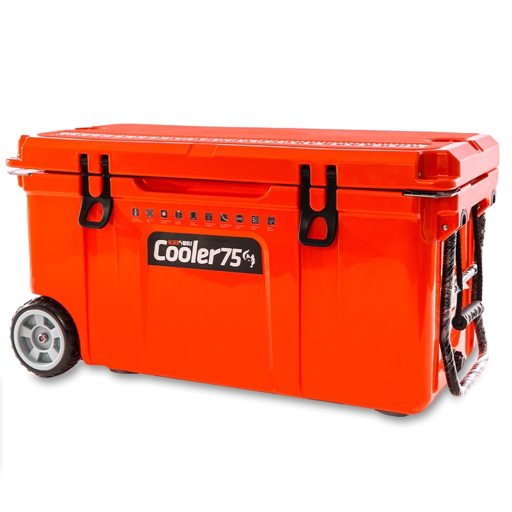 Amazing cooler trends